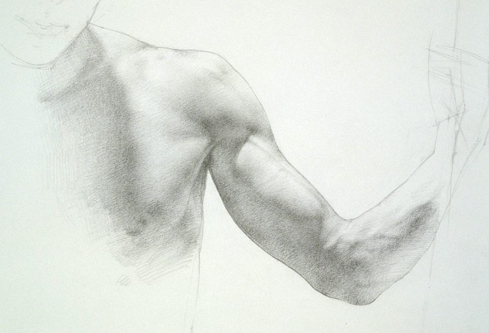 ArmStudy