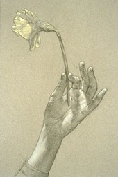 CythiasDaffodilpg63