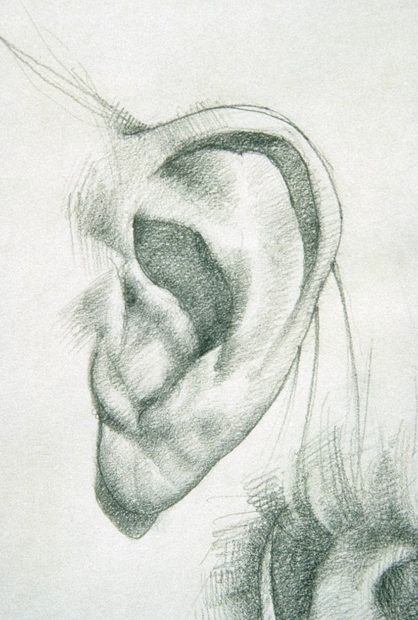 Ear